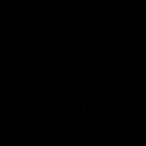 Meet your Posher, Dania